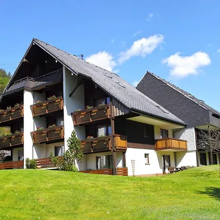 C4 Albmatte-fewo Sauna, Hallenbad Aussenbecken Massagen Nebenan Apartment Menzenschwand
