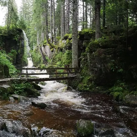 C4 Albmatte-fewo Sauna, Hallenbad Aussenbecken Massagen Nebenan Apartamento Menzenschwand-Hinterdorf
