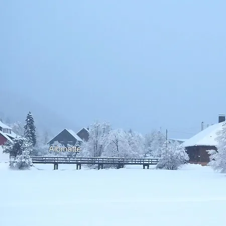 C4 Albmatte-fewo Sauna, Hallenbad Aussenbecken Massagen Nebenan * Menzenschwand-Hinterdorf
