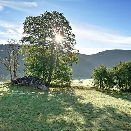 C4 Albmatte-fewo Sauna, Hallenbad Aussenbecken Massagen Nebenan Menzenschwand