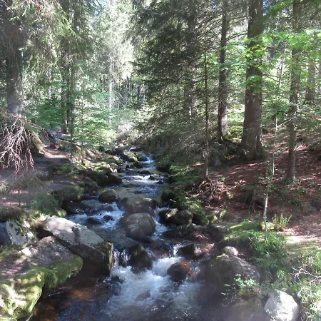 C4 Albmatte-fewo Sauna, Hallenbad Aussenbecken Massagen Nebenan