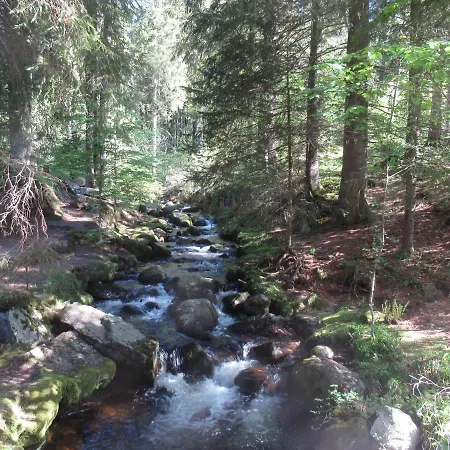 C4 Albmatte-fewo Sauna, Hallenbad Aussenbecken Massagen Nebenan