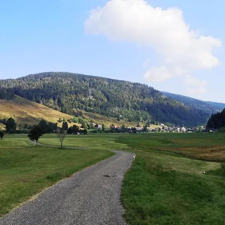 C4 Albmatte-fewo Sauna, Hallenbad Aussenbecken Massagen Nebenan *