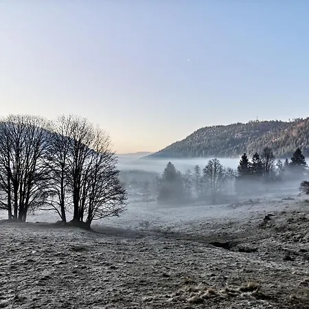 C4 Albmatte-fewo Sauna, Hallenbad Aussenbecken Massagen Nebenan Menzenschwand-Hinterdorf