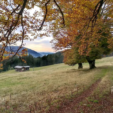 C4 Albmatte-fewo Sauna, Hallenbad Aussenbecken Massagen Nebenan Apartamento Menzenschwand-Hinterdorf