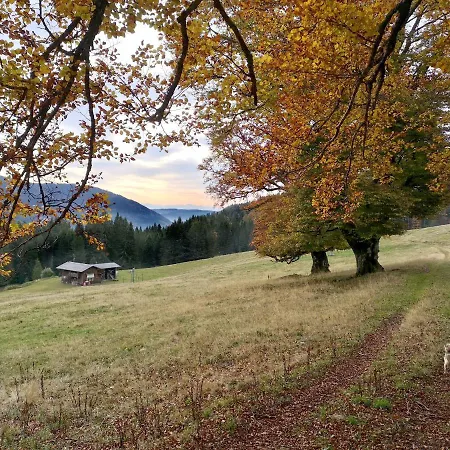 C4 Albmatte-fewo Sauna, Hallenbad Aussenbecken Massagen Nebenan Apartment Menzenschwand