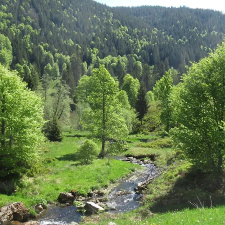 Apartamento C4 Albmatte-fewo Sauna, Hallenbad Aussenbecken Massagen Nebenan Menzenschwand-Hinterdorf