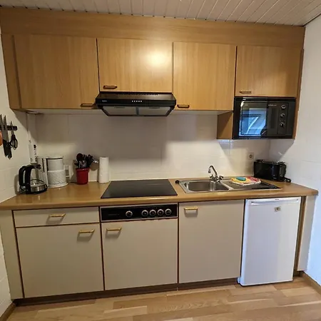 C4 Albmatte-fewo Sauna, Hallenbad Aussenbecken Massagen Nebenan * Menzenschwand