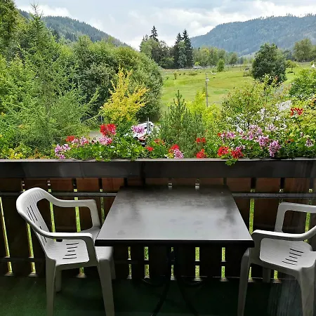 C4 Albmatte-fewo Sauna, Hallenbad Aussenbecken Massagen Nebenan Menzenschwand-Hinterdorf