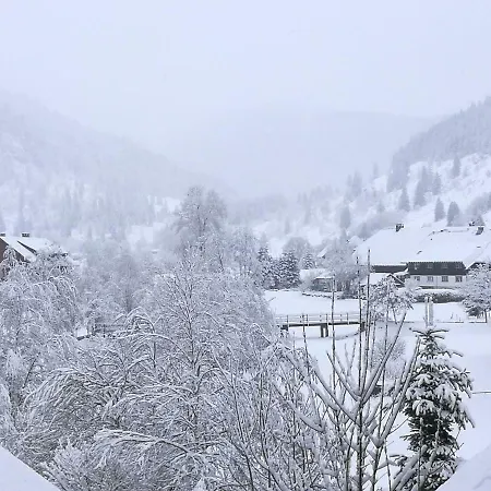 C4 Albmatte-fewo Sauna, Hallenbad Aussenbecken Massagen Nebenan Apartmán *