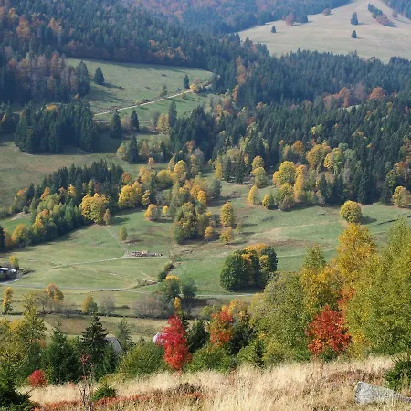 C4 Albmatte-fewo Sauna, Hallenbad Aussenbecken Massagen Nebenan Menzenschwand-Hinterdorf