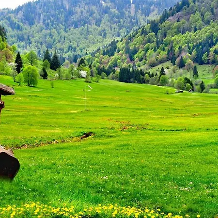 Appartamento C4 Albmatte-fewo Sauna, Hallenbad Aussenbecken Massagen Nebenan Menzenschwand-Hinterdorf