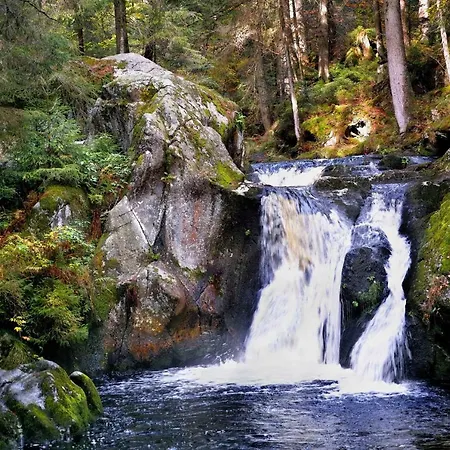 Appartamento C4 Albmatte-fewo Sauna, Hallenbad Aussenbecken Massagen Nebenan Menzenschwand-Hinterdorf