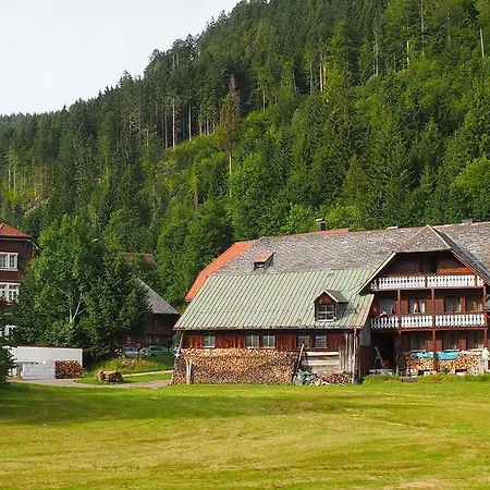 C4 Albmatte-fewo Sauna, Hallenbad Aussenbecken Massagen Nebenan Apartment Menzenschwand