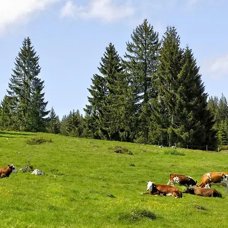 C4 Albmatte-fewo Sauna, Hallenbad Aussenbecken Massagen Nebenan