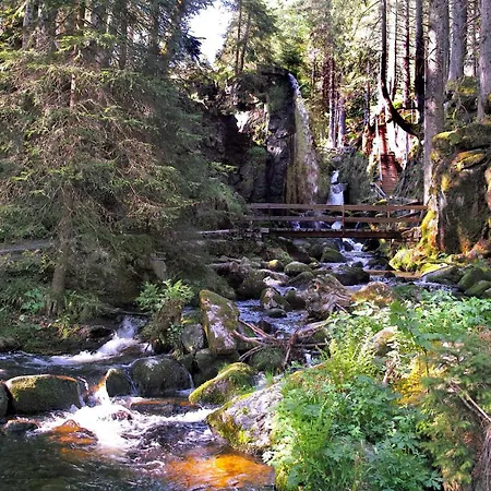 C4 Albmatte-fewo Sauna, Hallenbad Aussenbecken Massagen Nebenan Menzenschwand-Hinterdorf