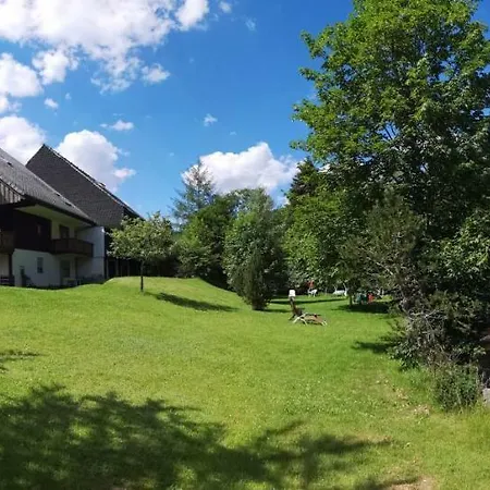 Apartment C4 Albmatte-fewo Sauna, Hallenbad Aussenbecken Massagen Nebenan Menzenschwand