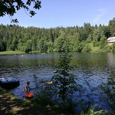 C4 Albmatte-fewo Sauna, Hallenbad Aussenbecken Massagen Nebenan * Menzenschwand