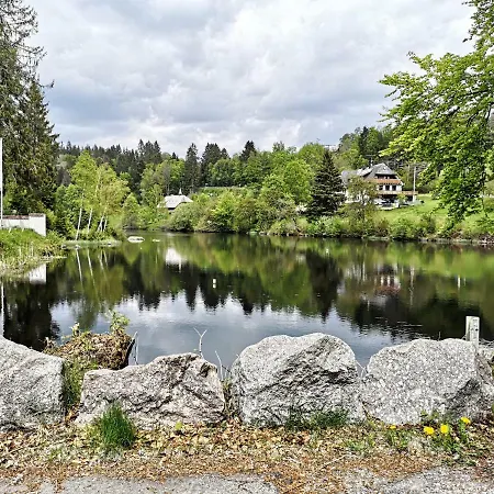 C4 Albmatte-fewo Sauna, Hallenbad Aussenbecken Massagen Nebenan * Menzenschwand