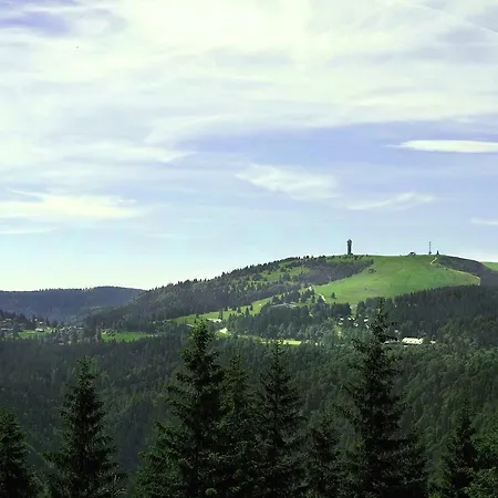 C4 Albmatte-fewo Sauna, Hallenbad Aussenbecken Massagen Nebenan Apartamento Menzenschwand-Hinterdorf