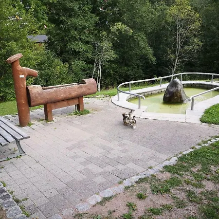 C4 Albmatte-fewo Sauna, Hallenbad Aussenbecken Massagen Nebenan