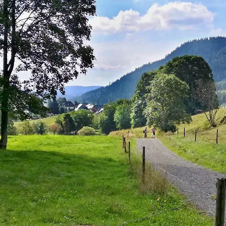 C4 Albmatte-fewo Sauna, Hallenbad Aussenbecken Massagen Nebenan